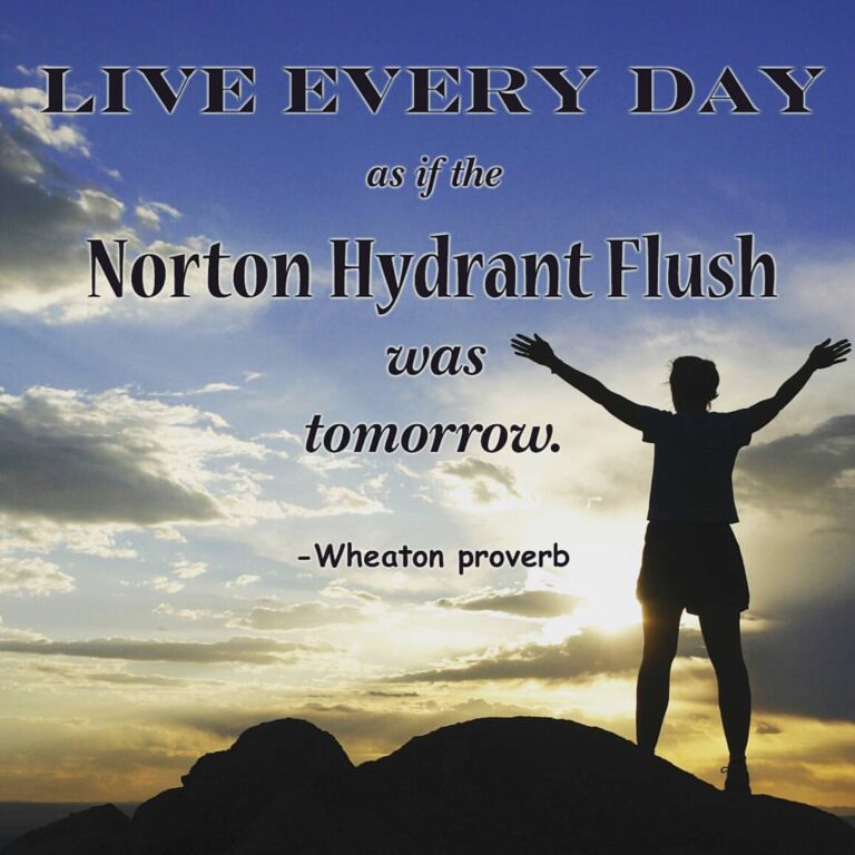 Ask Audrey – Norton water flush?