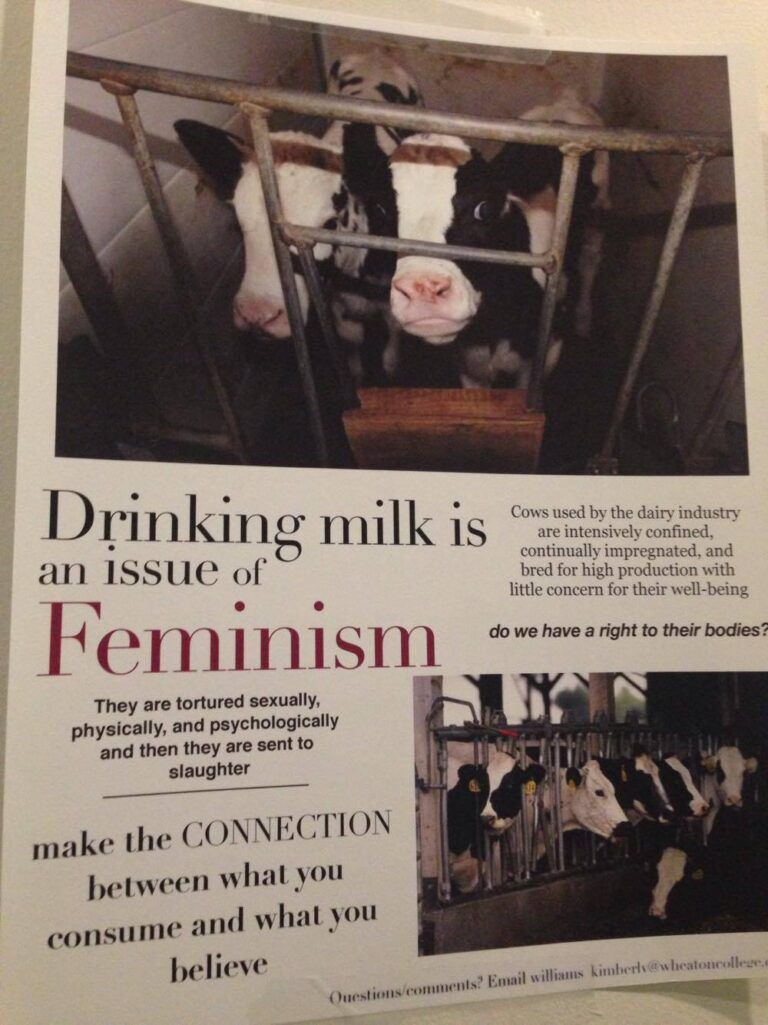 Got Milk? An Issue of Feminism, says Kimberly Williams