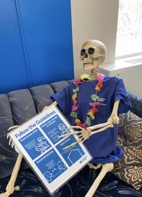 Skeleton with a blue shirt holding a blue sign