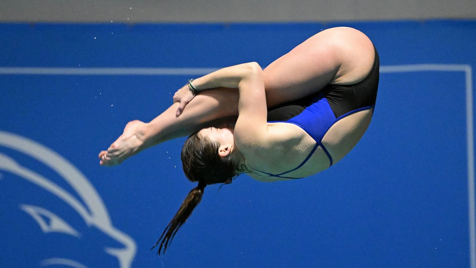 From the mat to the boards: Coughlin-Doyle is making her mark on Wheaton’s diving program