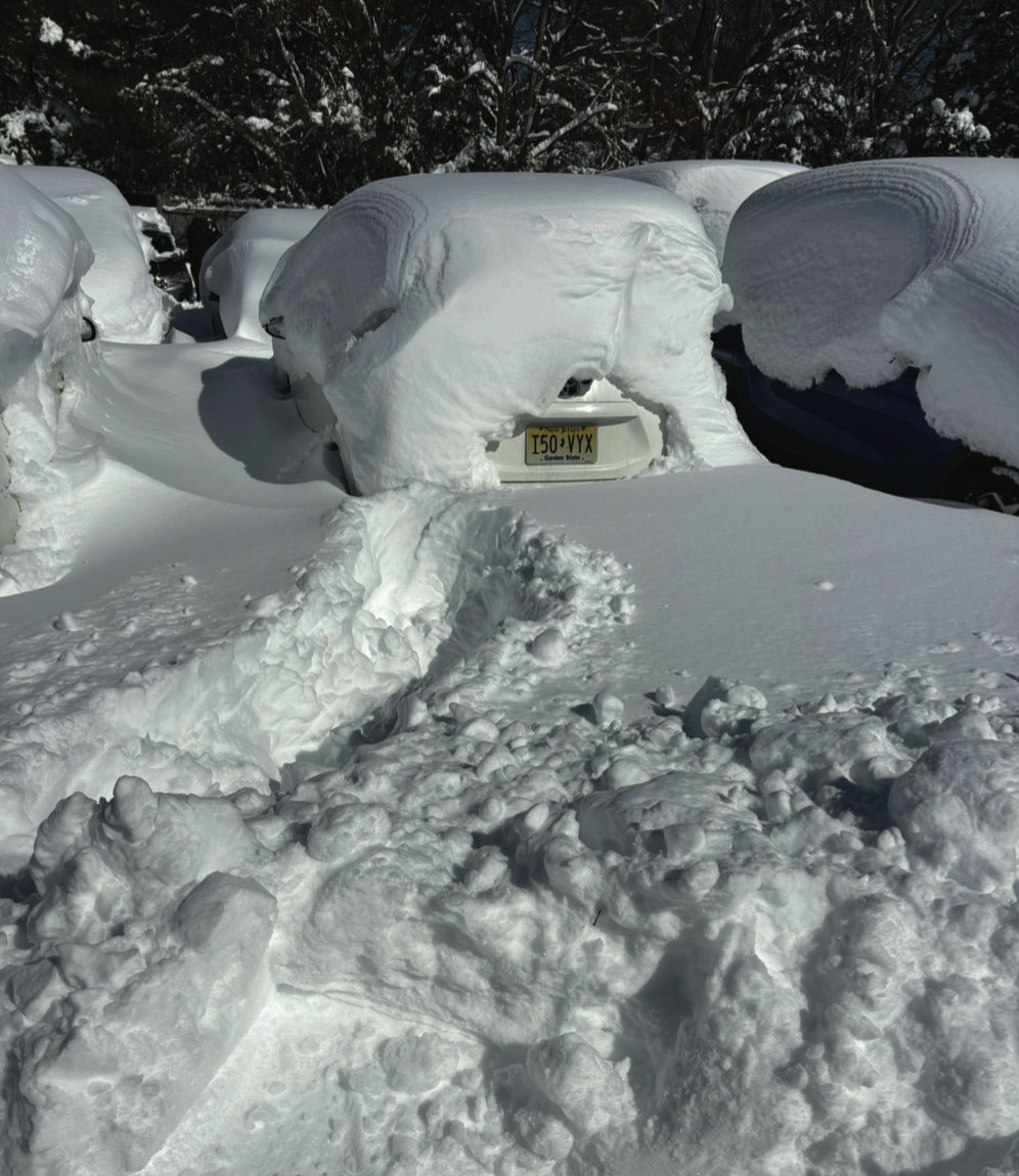 The Unfiltered Transcript